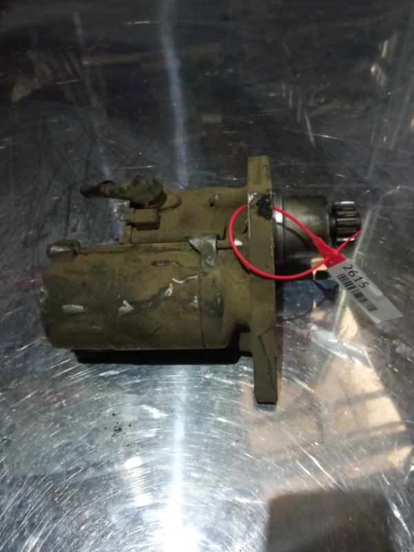 Стартер, 2500 рублей, Пуговичино