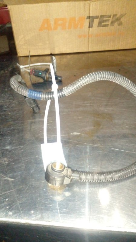 Датчик детонации, 2000 рублей, Пуговичино