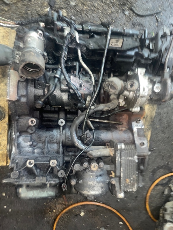 Двигатель, 40000 рублей, Пуговичино