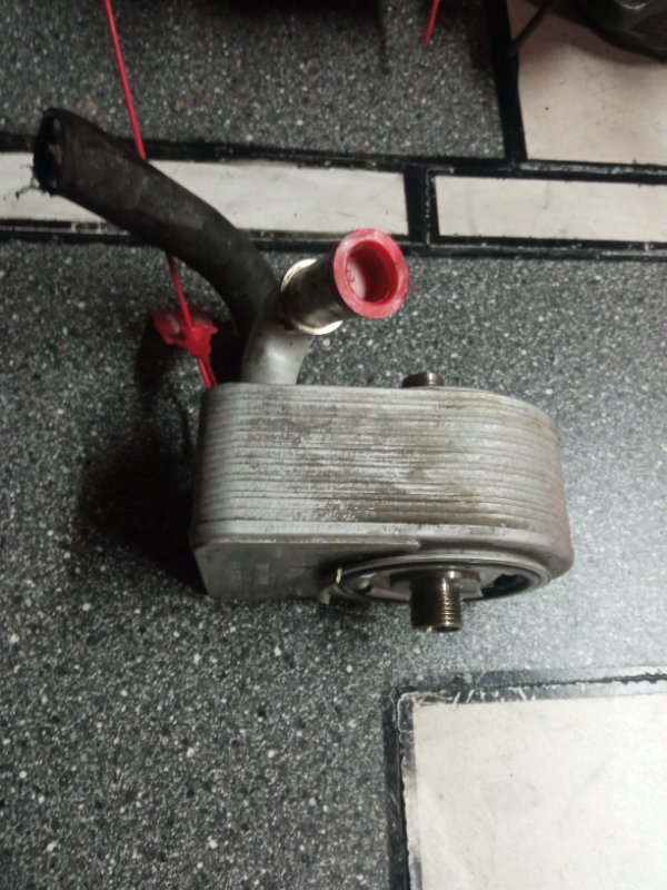 Радиатор масляный, 1500 рублей, Пуговичино