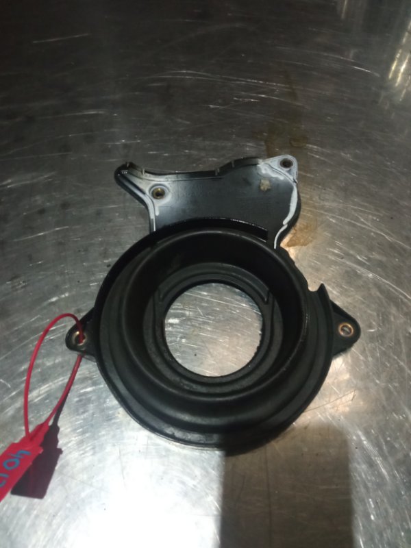 Кожух ГРМ нижний, 500 рублей, Пуговичино