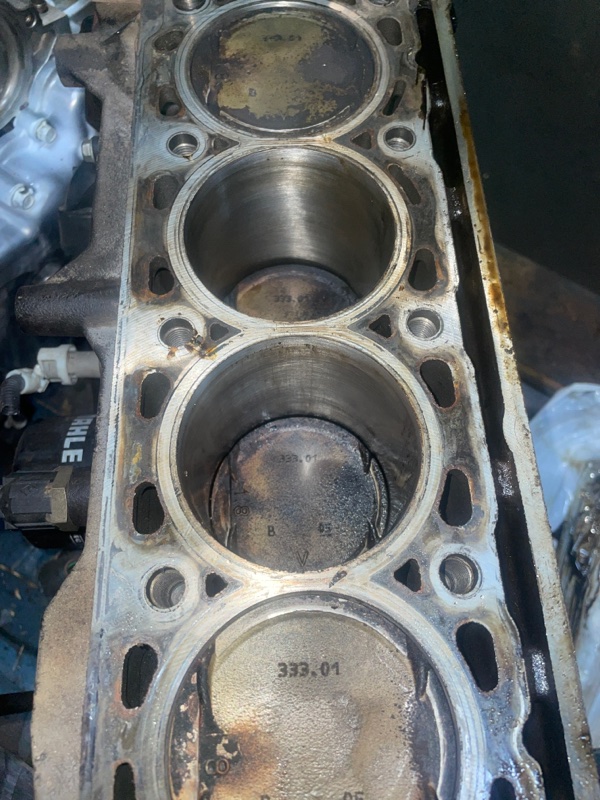 Шорт блок, 20000 рублей, Пуговичино