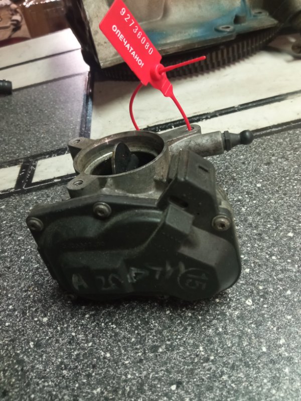 Дроссельная заслонка, 1000 рублей, Пуговичино