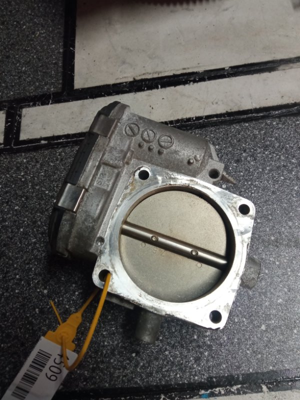 Дроссельная заслонка, 1500 рублей, Пуговичино