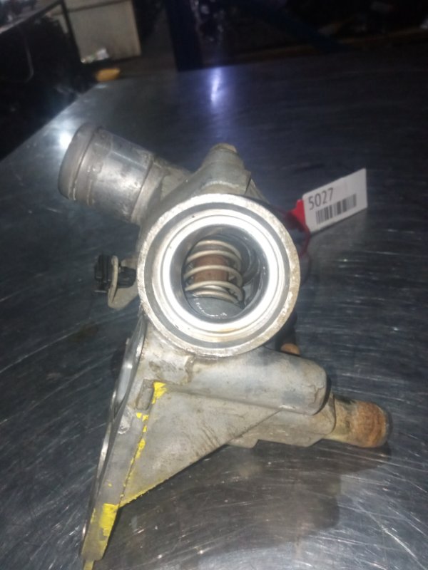 Корпус термостата, 1000 рублей, Пуговичино