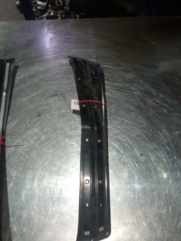 Накладка на порог салона, 1000 рублей, Пуговичино