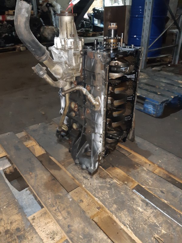 Шорт блок, 50000 рублей, Пуговичино