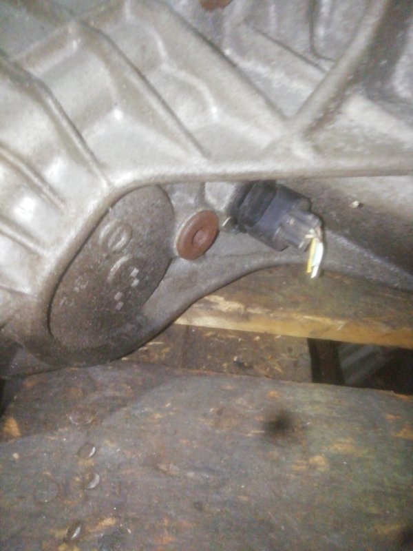 Раздаточная коробка, 5000 рублей, Пуговичино