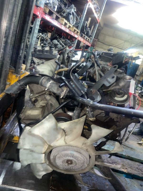 Двигатель, 65000 рублей, Пуговичино