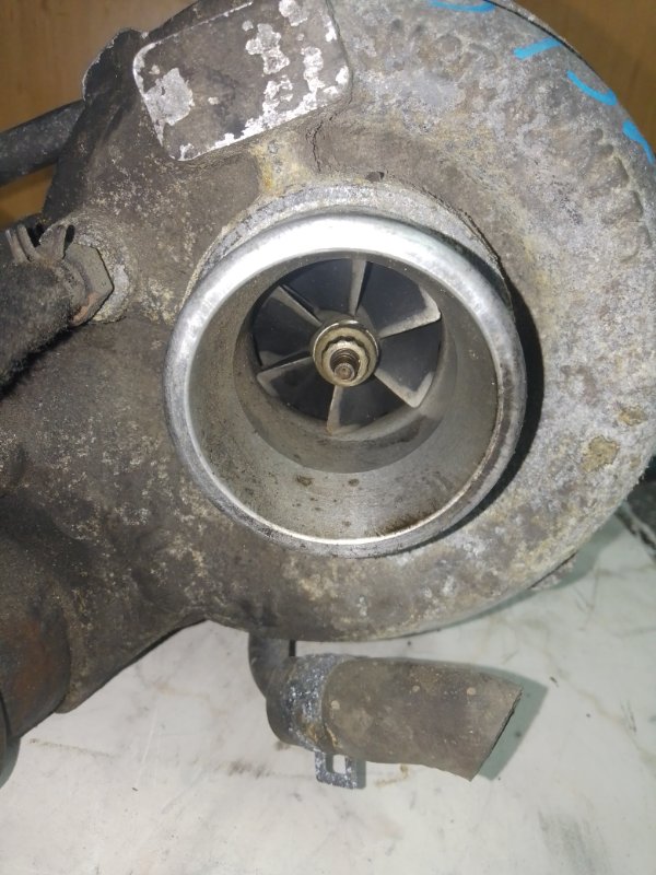 Турбина, 4000 рублей, Пуговичино