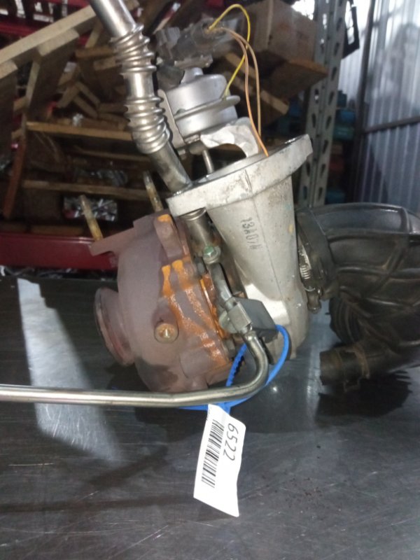 Турбина, 10000 рублей, Пуговичино