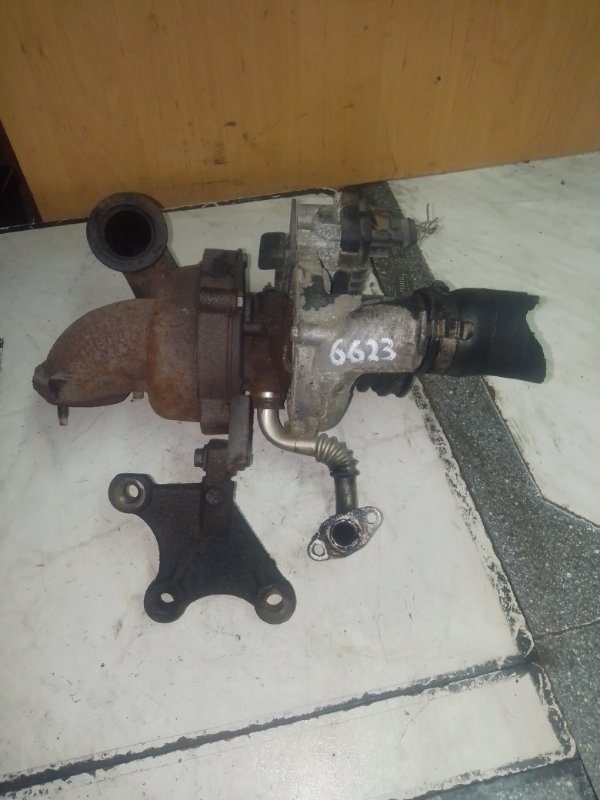 Турбина, 10000 рублей, Пуговичино