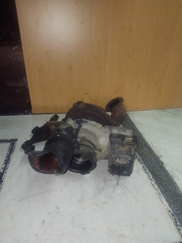 Турбина, 10000 рублей, Пуговичино