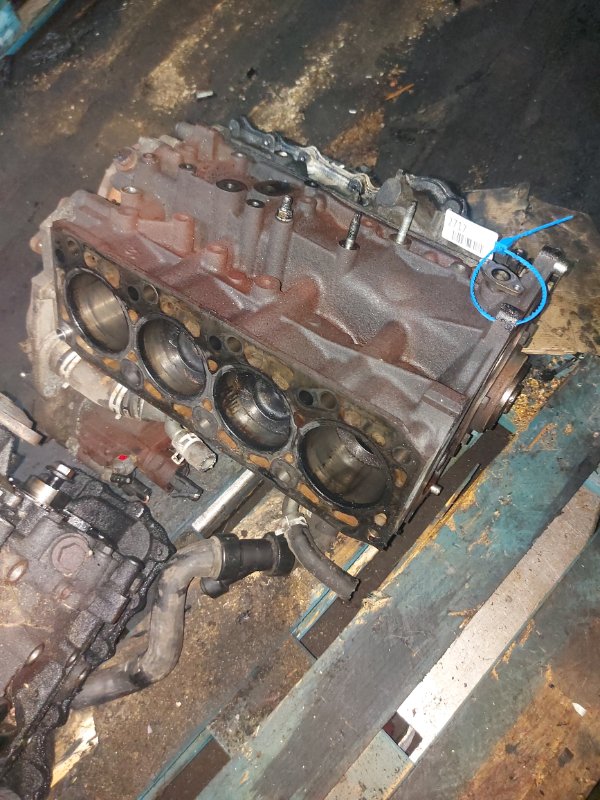 Шорт блок, 30000 рублей, Пуговичино