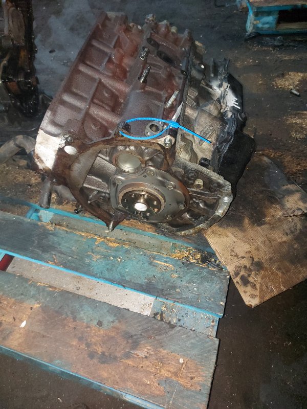 Шорт блок, 30000 рублей, Пуговичино