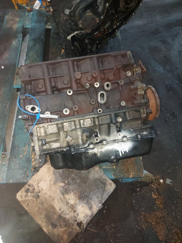 Шорт блок, 30000 рублей, Пуговичино