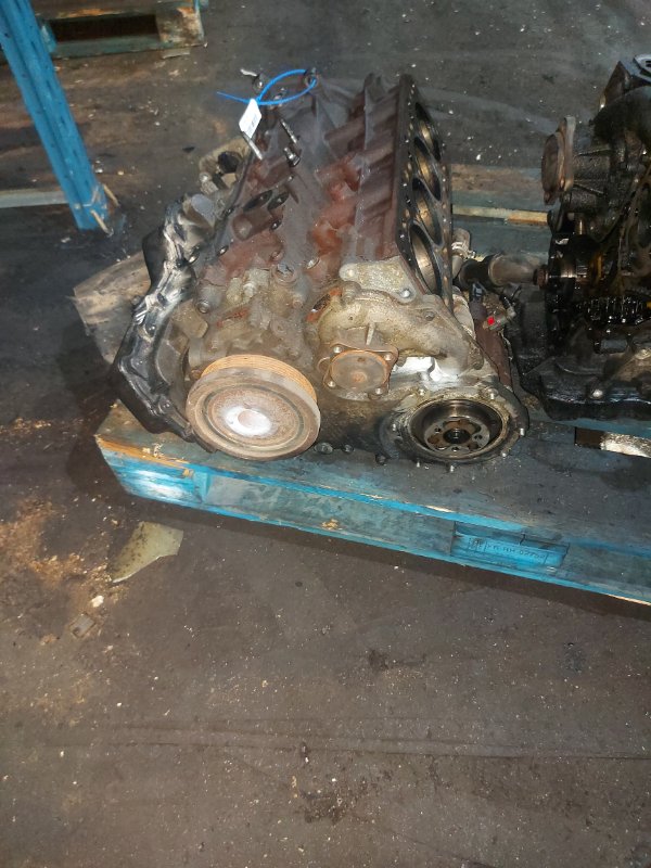 Шорт блок, 30000 рублей, Пуговичино