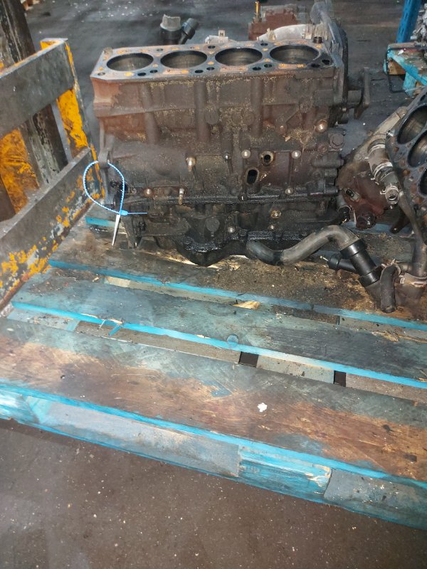 Шорт блок, 30000 рублей, Пуговичино