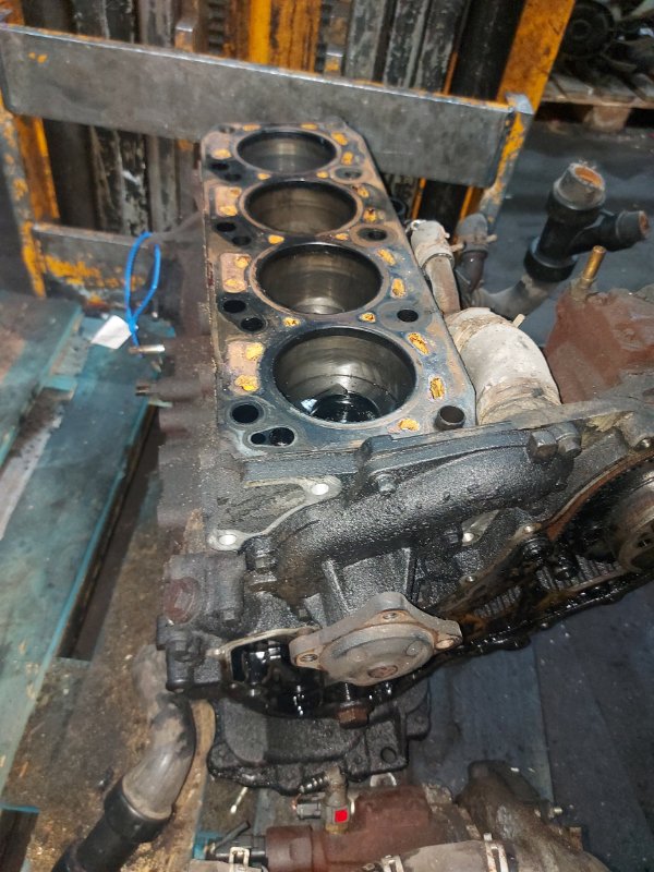 Шорт блок, 30000 рублей, Пуговичино