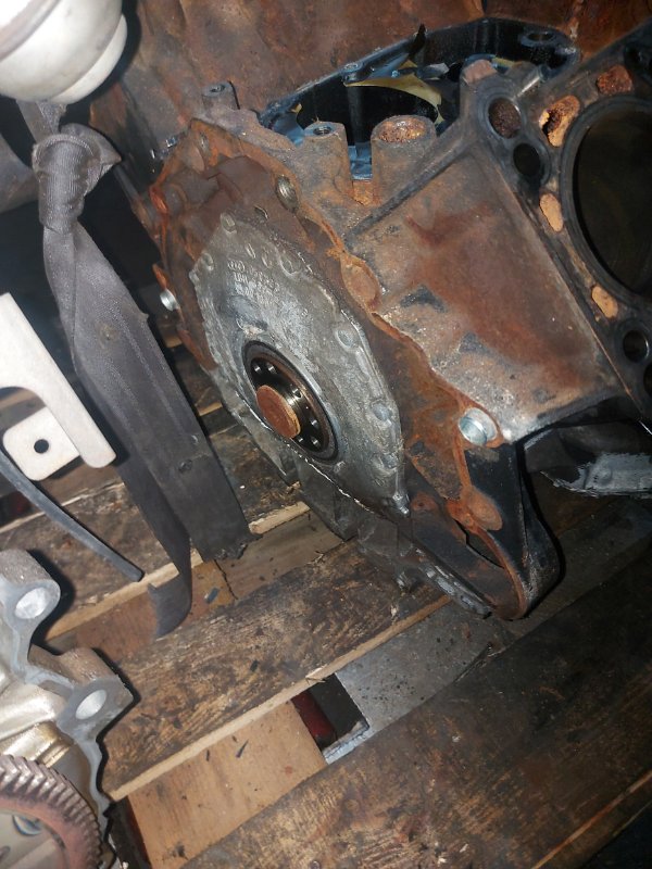 Шорт блок, 30000 рублей, Пуговичино