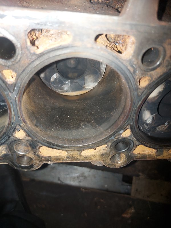 Шорт блок, 30000 рублей, Пуговичино