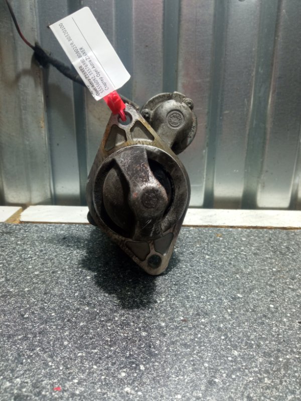 Стартер, 2500 рублей, Пуговичино