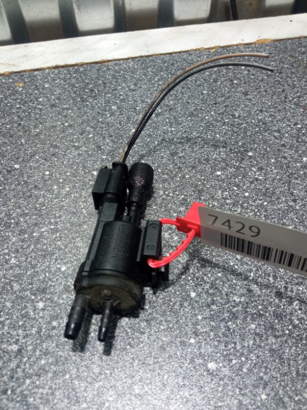 Клапан вакуумный, 1000 рублей, Пуговичино