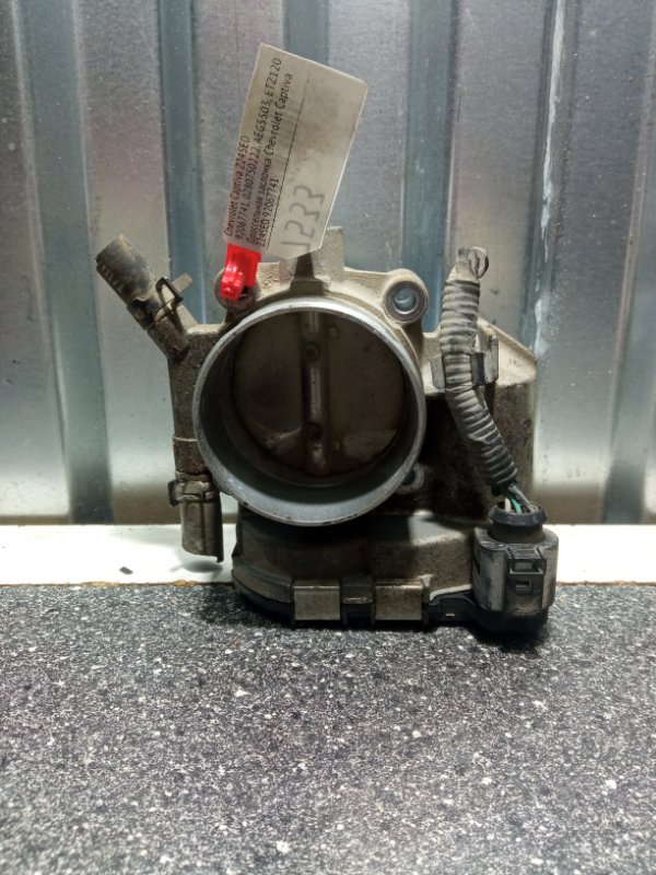 Дроссельная заслонка, 4000 рублей, Пуговичино