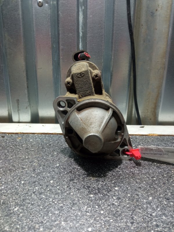 Стартер, 2500 рублей, Пуговичино