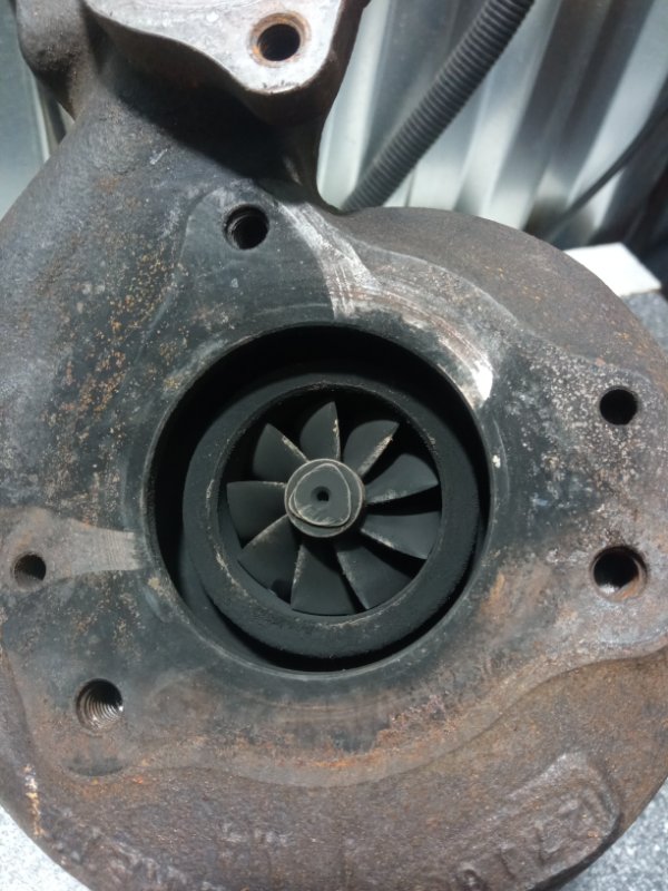 Турбина, 12500 рублей, Пуговичино