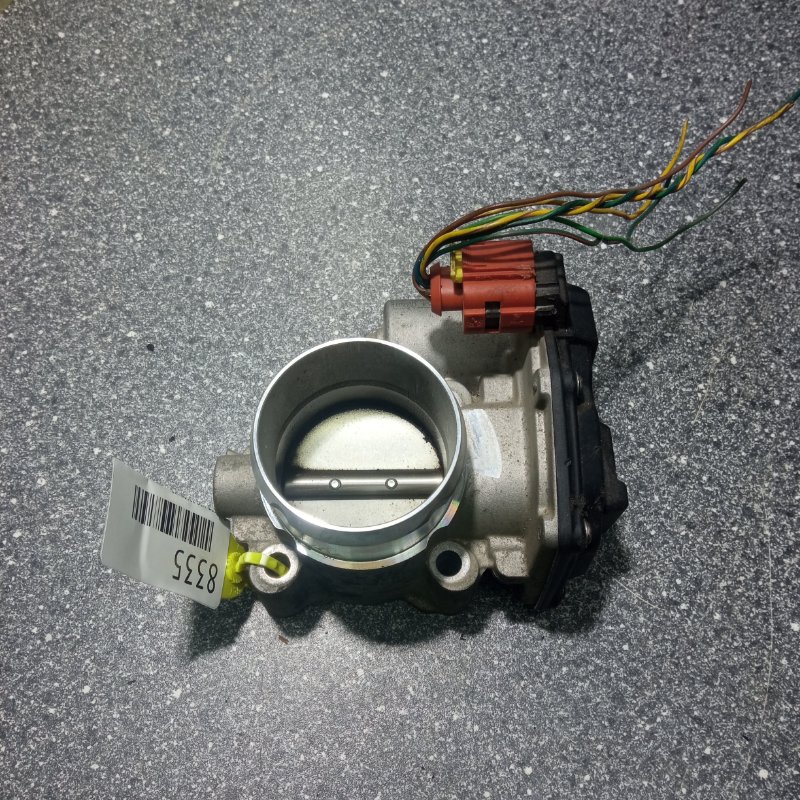 Дроссельная заслонка, 8000 рублей, Пуговичино