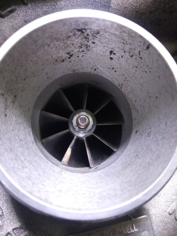 Турбина, 12000 рублей, Пуговичино