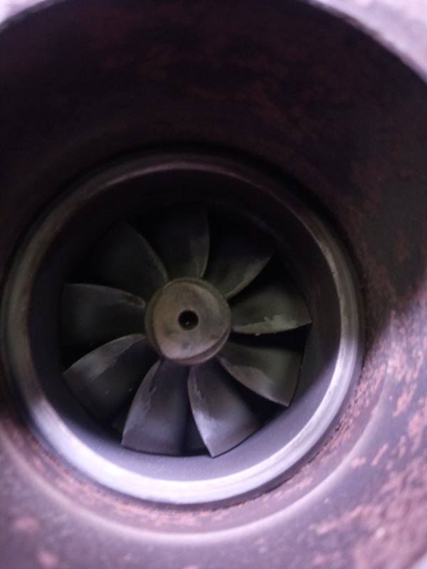 Турбина, 12000 рублей, Пуговичино