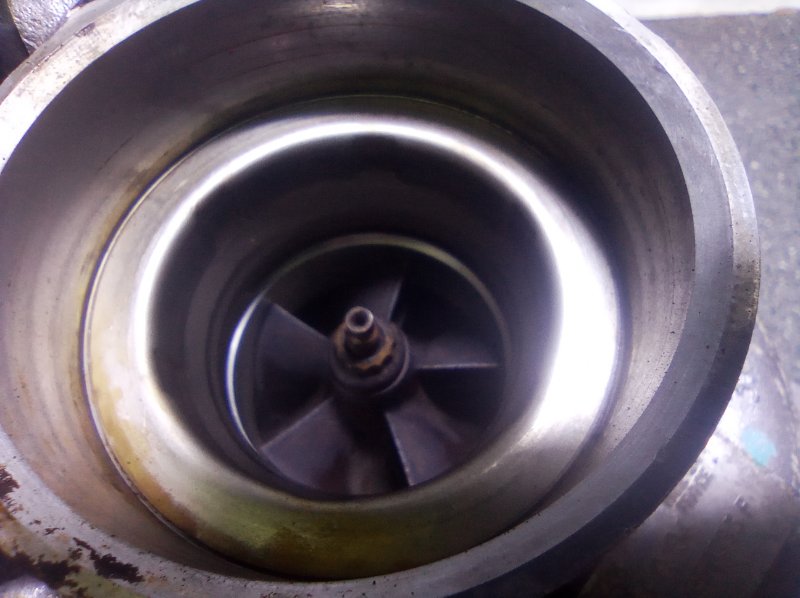 Турбина, 14000 рублей, Пуговичино