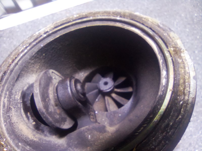 Турбина, 14000 рублей, Пуговичино