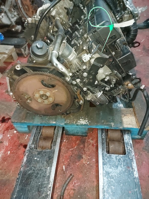 Двигатель, 60000 рублей, Пуговичино