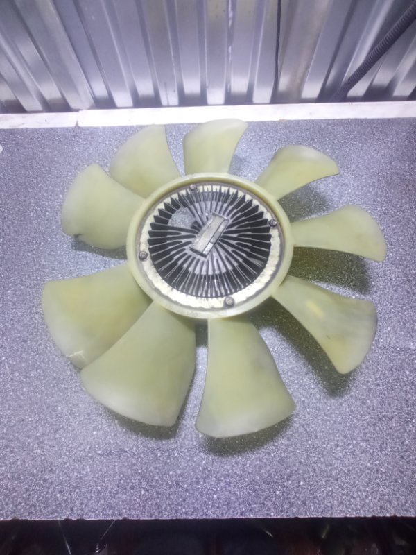 Вискомуфта, 10000 рублей, Пуговичино