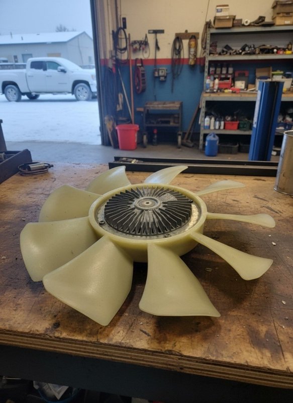 Вискомуфта, 10000 рублей, Пуговичино