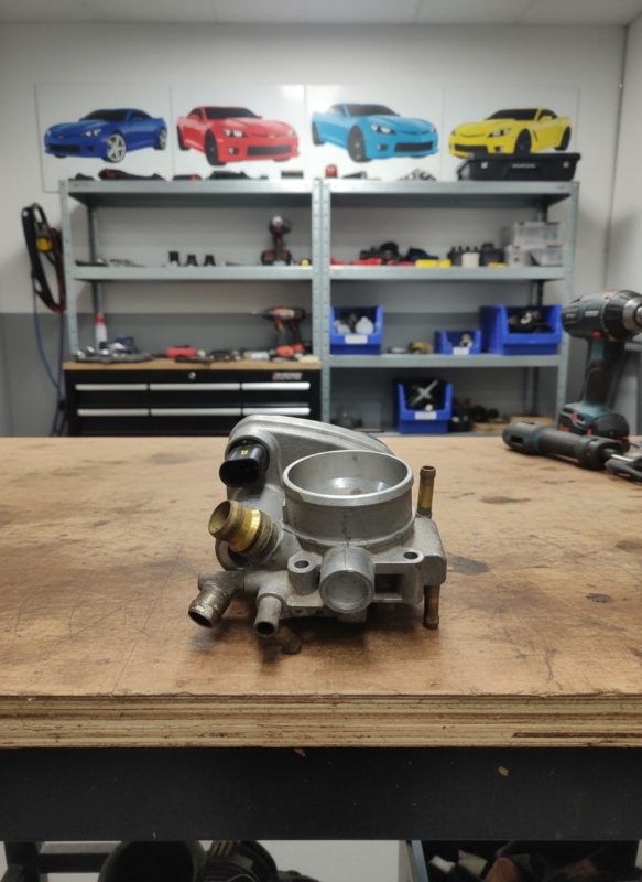 Дроссельная заслонка, 1500 рублей, Пуговичино