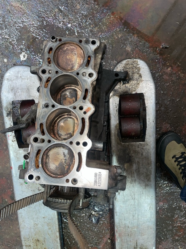 Шорт блок, 50000 рублей, Пуговичино