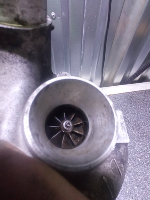 Турбина, 15000 рублей, Пуговичино