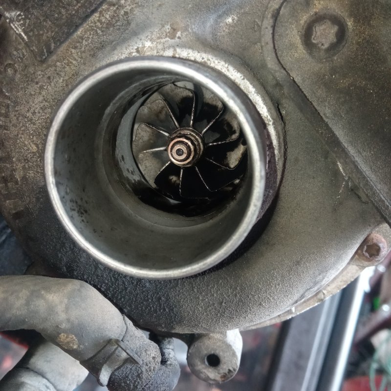 Турбина, 15000 рублей, Пуговичино