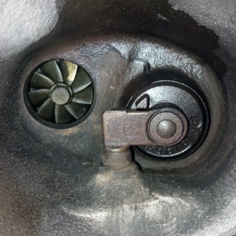 Турбина, 8000 рублей, Пуговичино