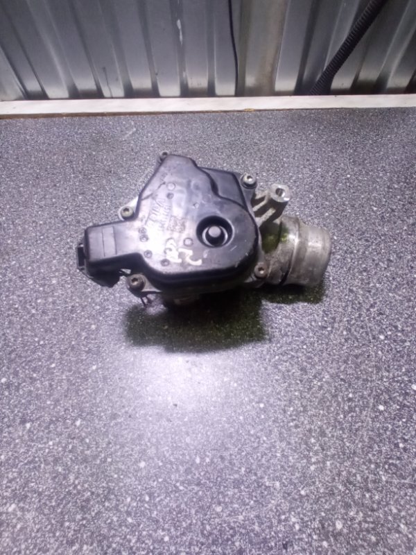 Дроссельная заслонка, 2500 рублей, Пуговичино