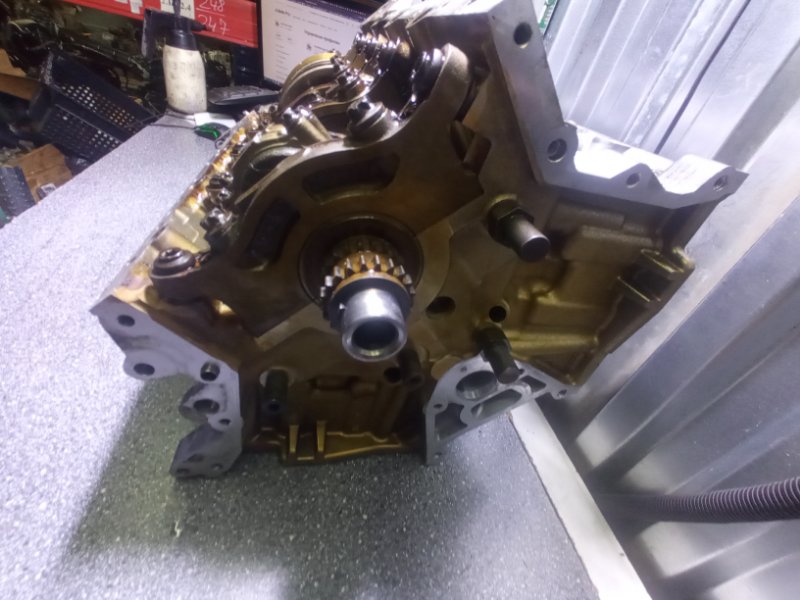 Шорт блок, 185000 рублей, Пуговичино