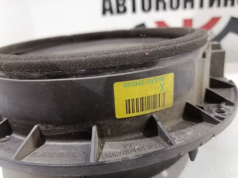 Динамик, 1000 рублей, Красноярск