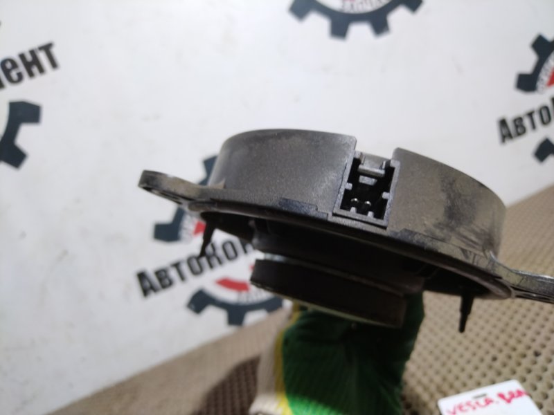 Динамик, 1000 рублей, Красноярск