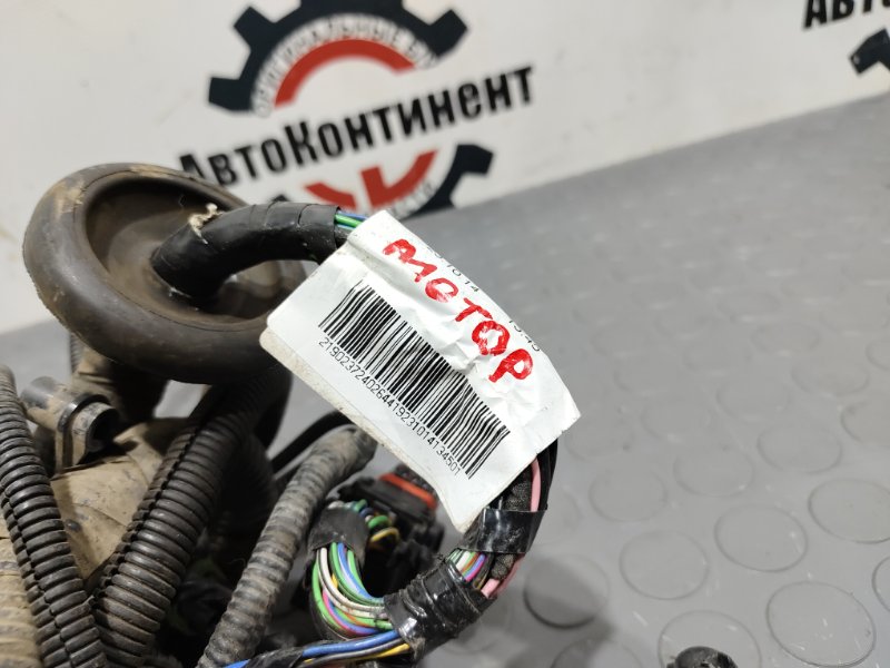 Проводка двигателя, 6000 рублей, Красноярск