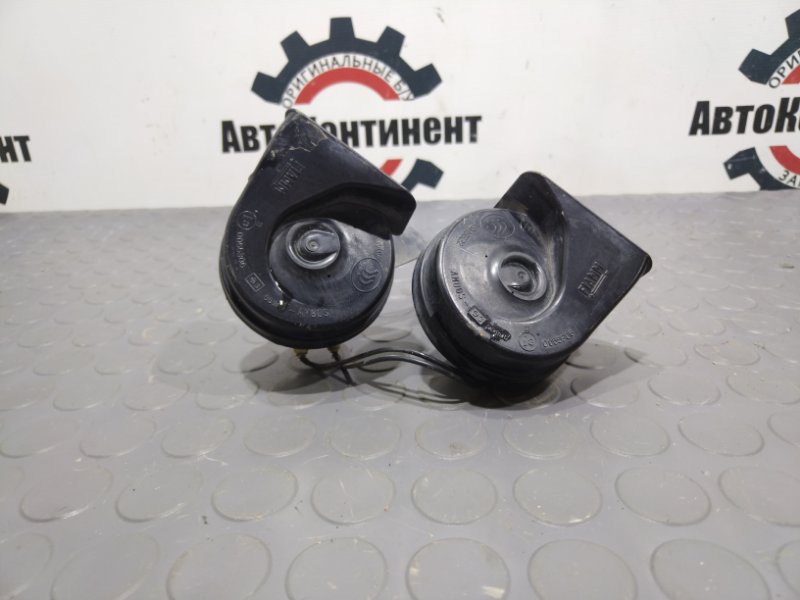 Звуковой сигнал, 1000 рублей, Красноярск