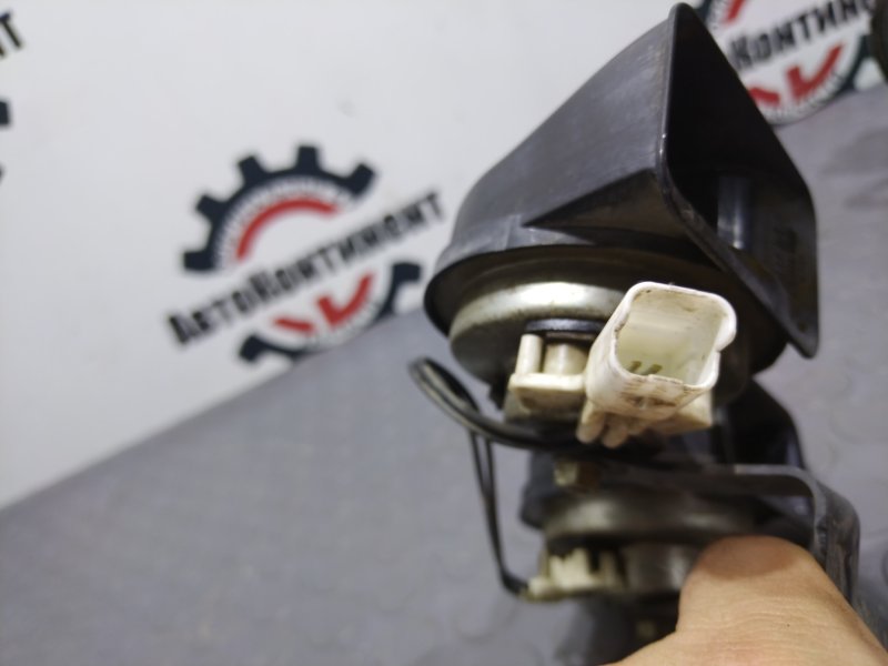 Звуковой сигнал, 1000 рублей, Красноярск